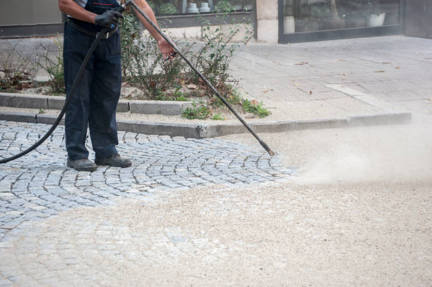 Best Pre-Holiday Cleaning  in Cobden, IL