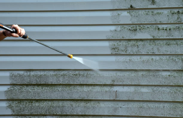 Best Solar Panel Cleaning  in Cobden, IL
