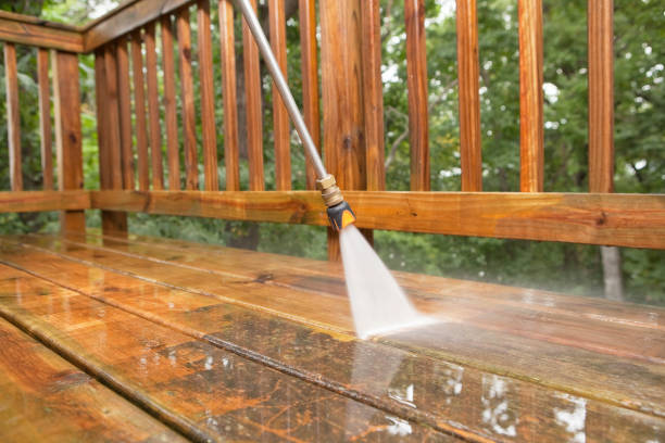 Best Gutter Cleaning  in Cobden, IL